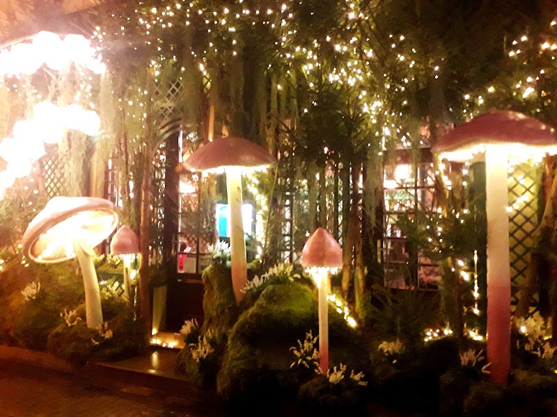 Augustas ir Barbora Love Story Café